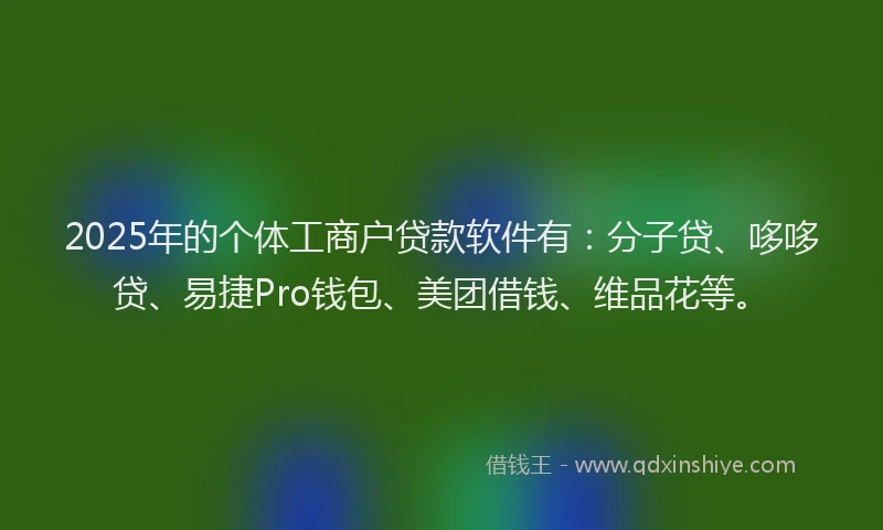2025年的个体工商户贷款软件有：分子贷、哆哆贷、易捷Pro钱包、美团借钱、维品花等。