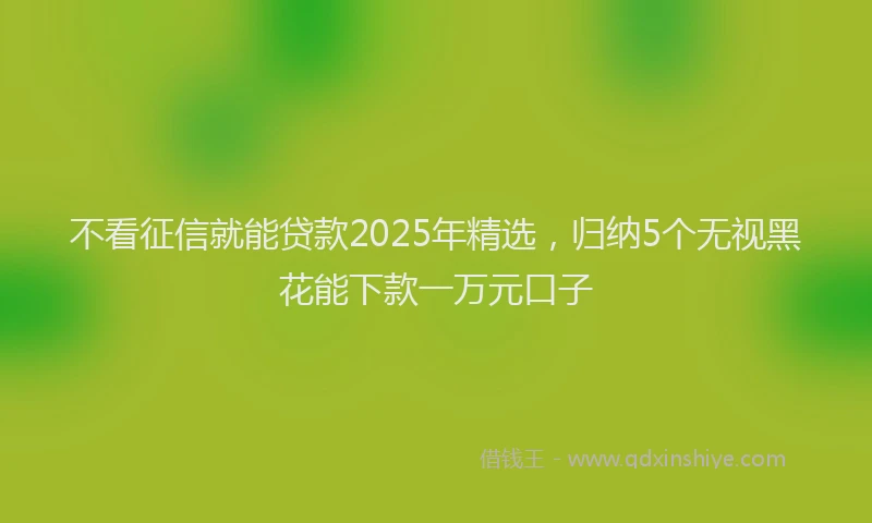 不看征信就能贷款2025年精选，归纳5个无视黑花能下款一万元口子
