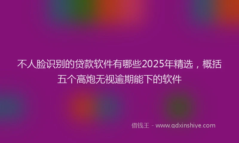 不人脸识别的贷款软件有哪些2025年精选，概括五个高炮无视逾期能下的软件