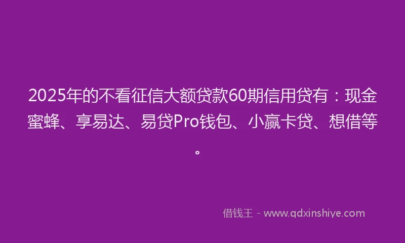 2025年的不看征信大额贷款60期信用贷有：现金蜜蜂、享易达、易贷Pro钱包、小赢卡贷、想借等。