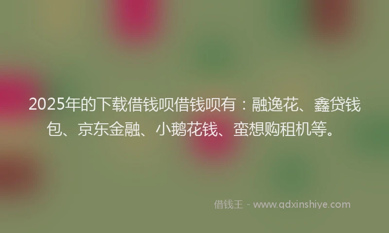 2025年的下载借钱呗借钱呗有：融逸花、鑫贷钱包、京东金融、小鹅花钱、蛮想购租机等。