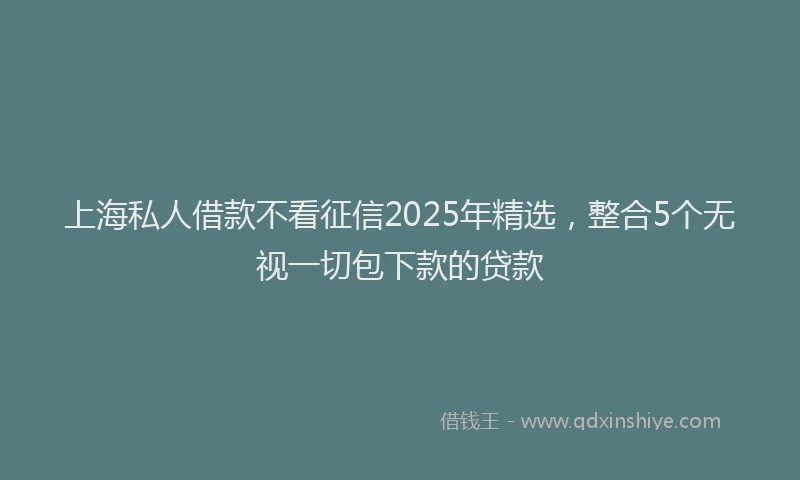 上海私人借款不看征信2025年精选，整合5个无视一切包下款的贷款