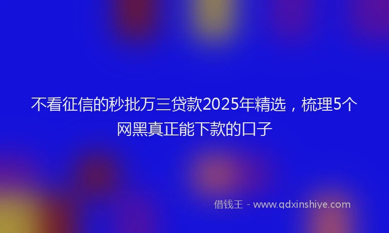 不看征信的秒批万三贷款2025年精选，梳理5个网黑真正能下款的口子
