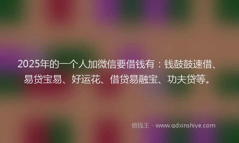 2025年的一个人加微信要借钱有：钱鼓鼓速借、易贷宝易、好运花、借贷易融宝、功夫贷等。