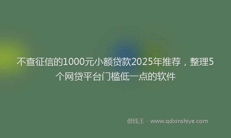 不查征信的1000元小额贷款2025年推荐，整理5个网贷平台门槛低一点的软件