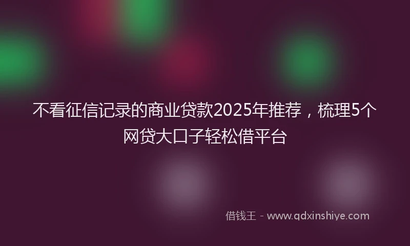 不看征信记录的商业贷款2025年推荐，梳理5个网贷大口子轻松借平台
