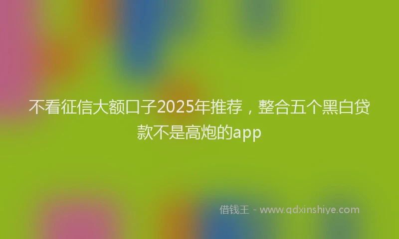 不看征信大额口子2025年推荐，整合五个黑白贷款不是高炮的app