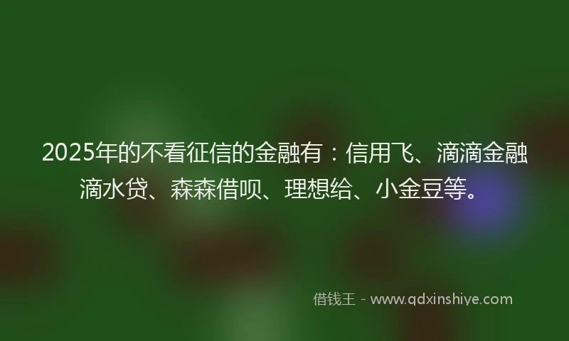 2025年的不看征信的金融有：信用飞、滴滴金融滴水贷、森森借呗、理想给、小金豆等。