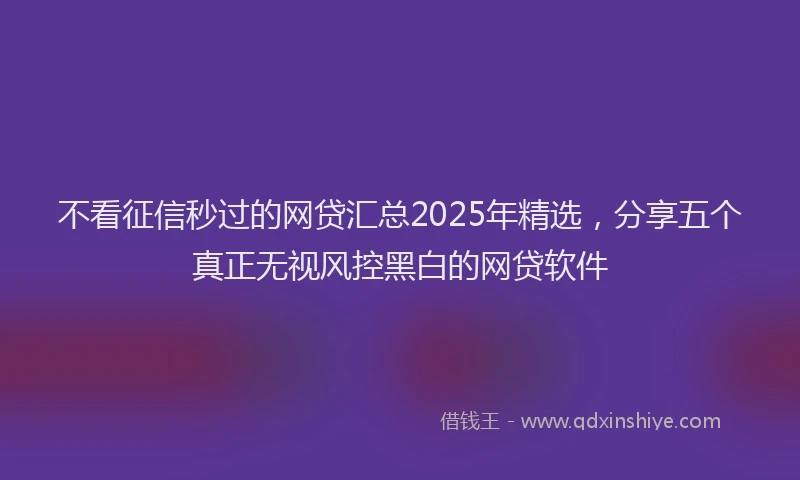不看征信秒过的网贷汇总2025年精选，分享五个真正无视风控黑白的网贷软件