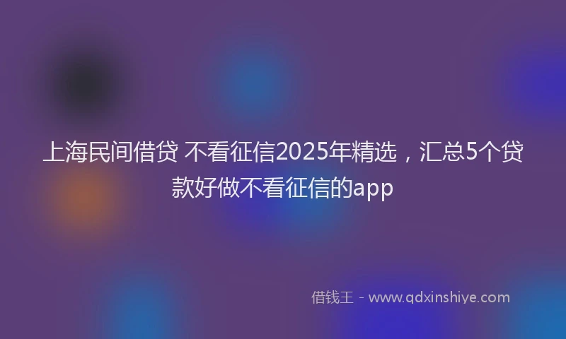 上海民间借贷 不看征信2025年精选，汇总5个贷款好做不看征信的app