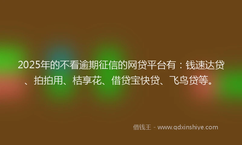 2025年的不看逾期征信的网贷平台有：钱速达贷、拍拍用、桔享花、借贷宝快贷、飞鸟贷等。