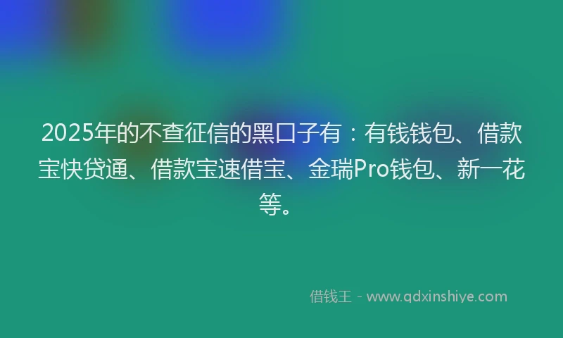 2025年的不查征信的黑口子有：有钱钱包、借款宝快贷通、借款宝速借宝、金瑞Pro钱包、新一花等。