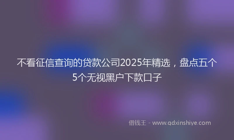 不看征信查询的贷款公司2025年精选，盘点五个5个无视黑户下款口子
