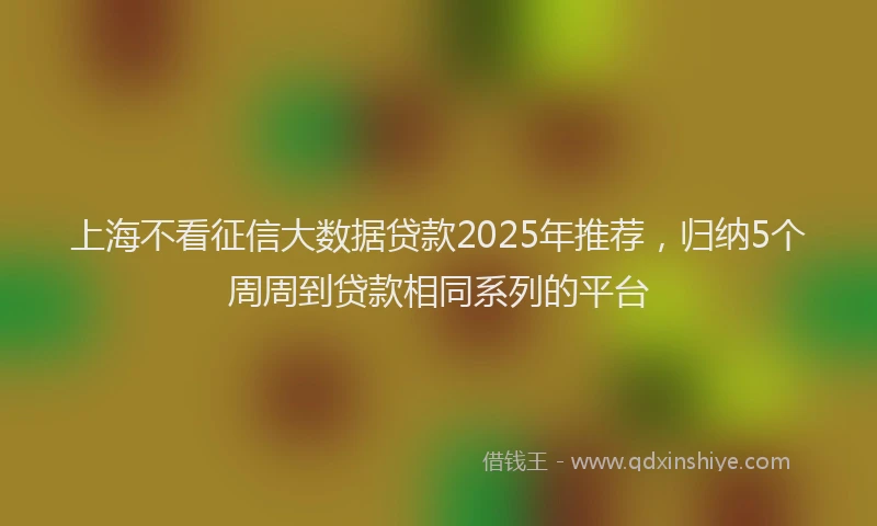上海不看征信大数据贷款2025年推荐，归纳5个周周到贷款相同系列的平台