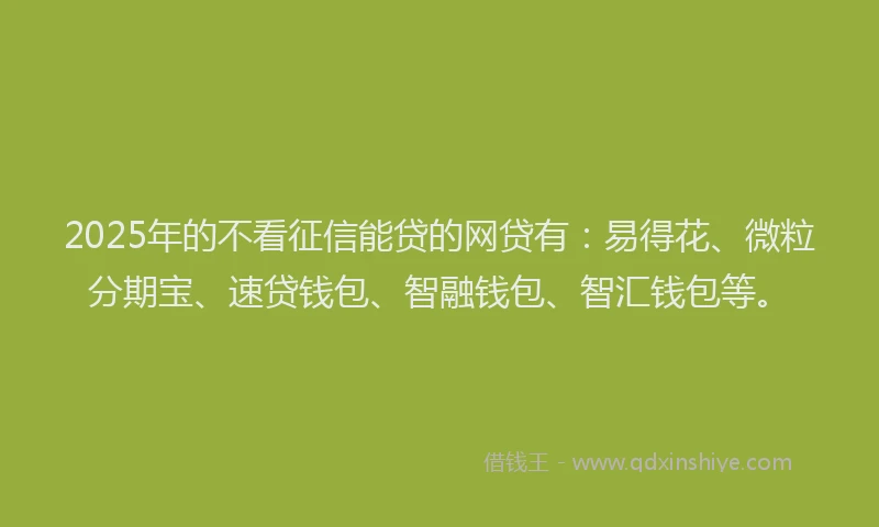 2025年的不看征信能贷的网贷有：易得花、微粒分期宝、速贷钱包、智融钱包、智汇钱包等。