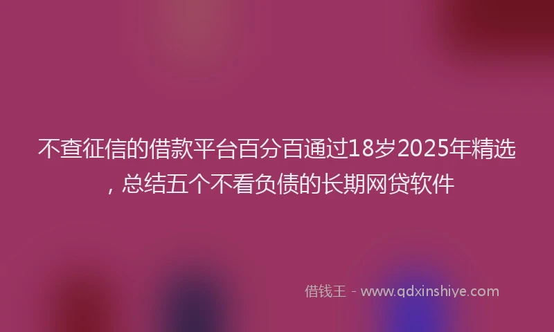 不查征信的借款平台百分百通过18岁2025年精选，总结五个不看负债的长期网贷软件