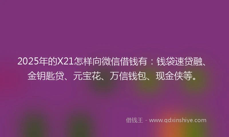 2025年的X21怎样向微信借钱有：钱袋速贷融、金钥匙贷、元宝花、万信钱包、现金侠等。
