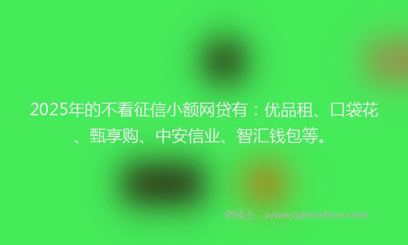 2025年的不看征信小额网贷有：优品租、口袋花、甄享购、中安信业、智汇钱包等。
