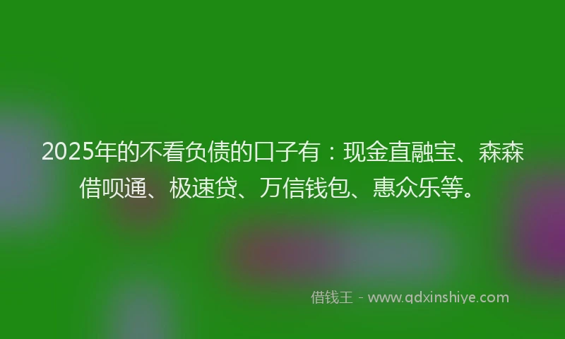 2025年的不看负债的口子有：现金直融宝、森森借呗通、极速贷、万信钱包、惠众乐等。