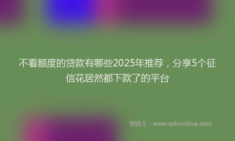 不看额度的贷款有哪些2025年推荐，分享5个征信花居然都下款了的平台