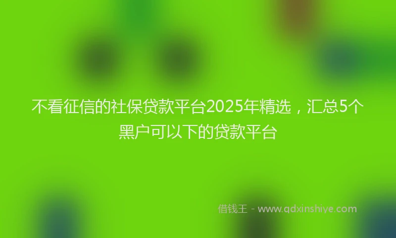 不看征信的社保贷款平台2025年精选，汇总5个黑户可以下的贷款平台
