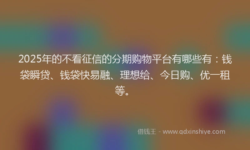 2025年的不看征信的分期购物平台有哪些有：钱袋瞬贷、钱袋快易融、理想给、今日购、优一租等。