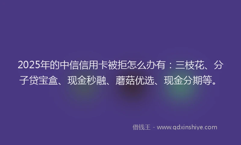 2025年的中信信用卡被拒怎么办有：三枝花、分子贷宝盒、现金秒融、蘑菇优选、现金分期等。