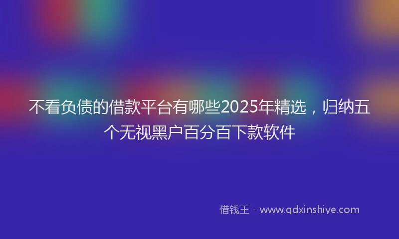 不看负债的借款平台有哪些2025年精选,归纳五个无视黑户百分百下款软件