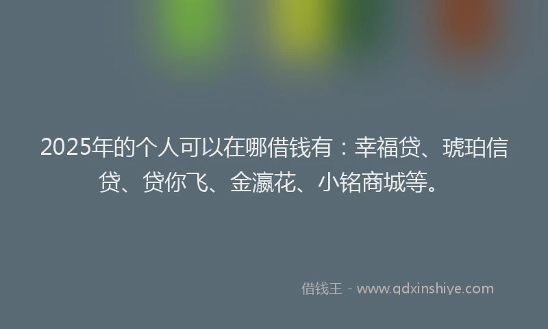 2025年的个人可以在哪借钱有：幸福贷、琥珀信贷、贷你飞、金瀛花、小铭商城等。