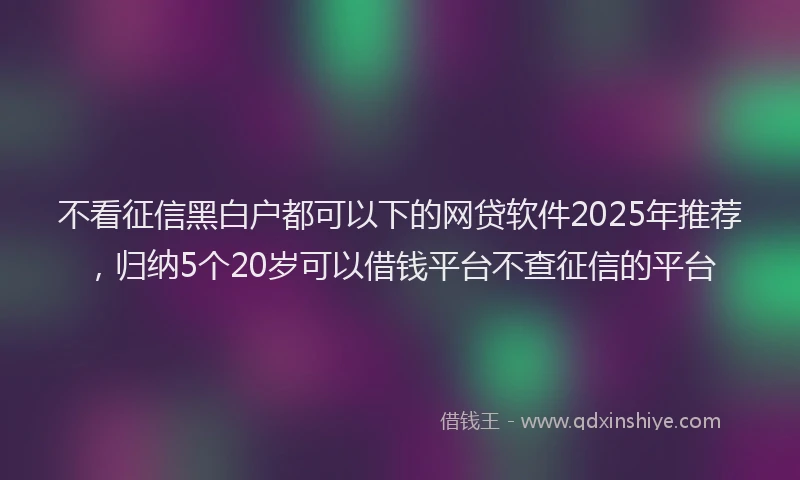 不看征信黑白户都可以下的网贷软件2025年推荐,归纳5个20岁可以借钱平台不查征信的平台