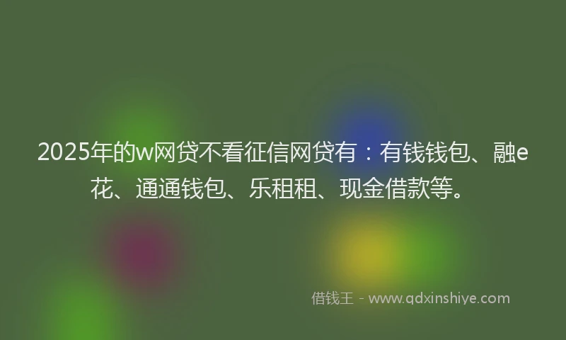 2025年的w网贷不看征信网贷有：有钱钱包、融e花、通通钱包、乐租租、现金借款等。