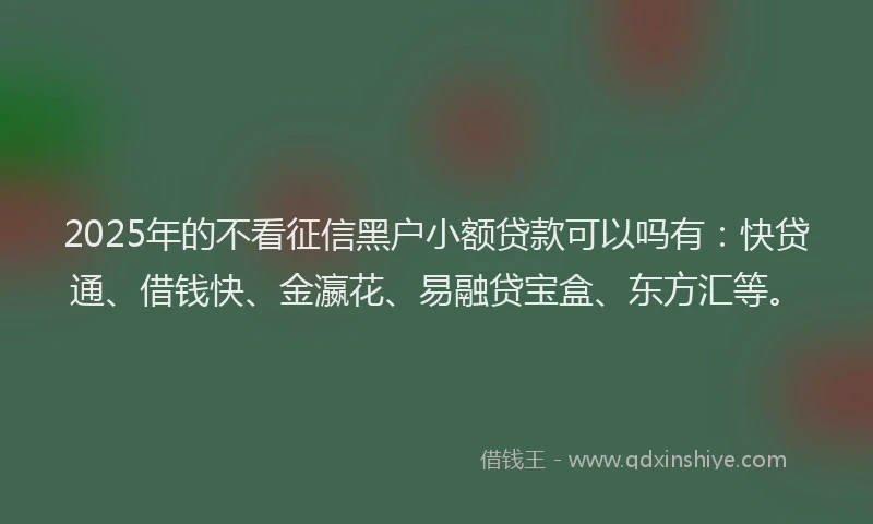 2025年的不看征信黑户小额贷款可以吗有:快贷通、借钱快、金瀛花、易融贷宝盒、东方汇等。
