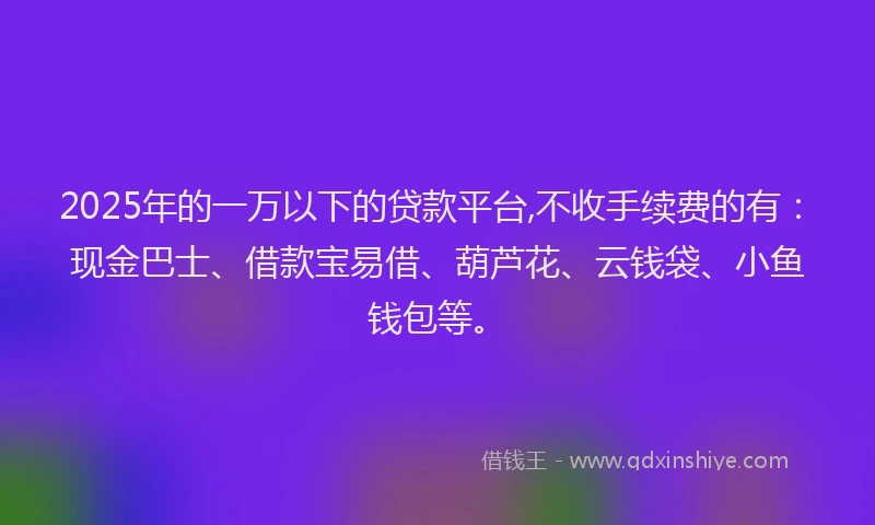 2025年的一万以下的贷款平台,不收手续费的有：现金巴士、借款宝易借、葫芦花、云钱袋、小鱼钱包等。