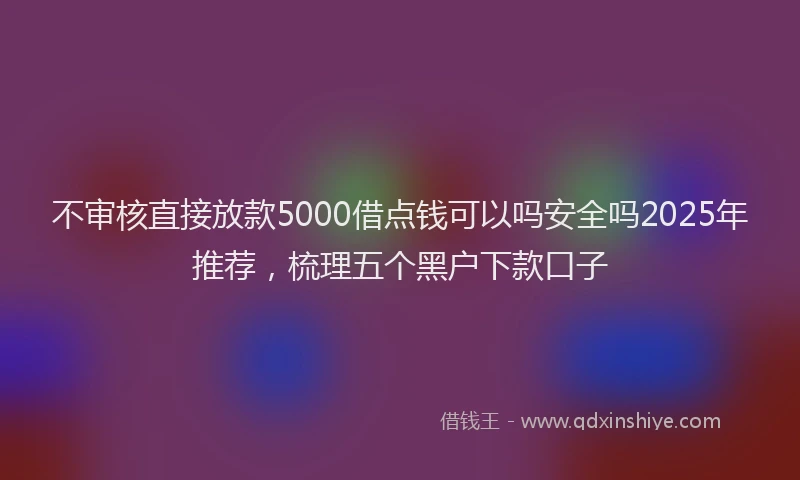 不审核直接放款5000借点钱可以吗安全吗2025年推荐，梳理五个黑户下款口子