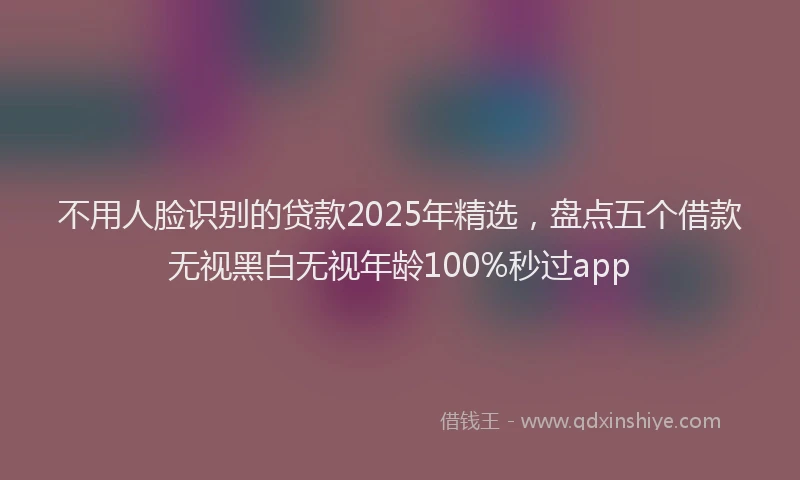 不用人脸识别的贷款2025年精选，盘点五个借款无视黑白无视年龄100%秒过app