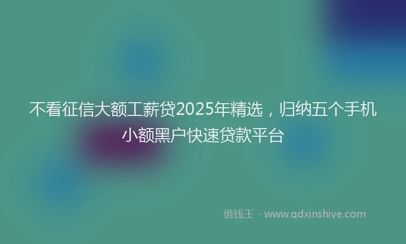 不看征信大额工薪贷2025年精选,归纳五个手机小额黑户快速贷款平台