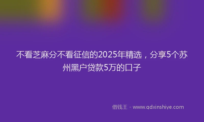 不看芝麻分不看征信的2025年精选，分享5个苏州黑户贷款5万的口子