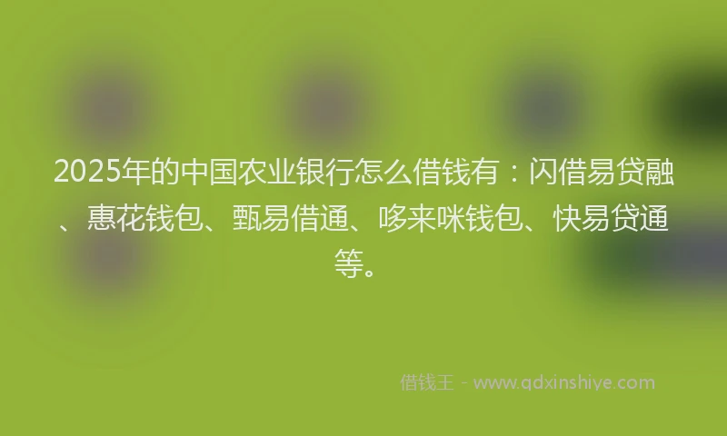 2025年的中国农业银行怎么借钱有：闪借易贷融、惠花钱包、甄易借通、哆来咪钱包、快易贷通等。
