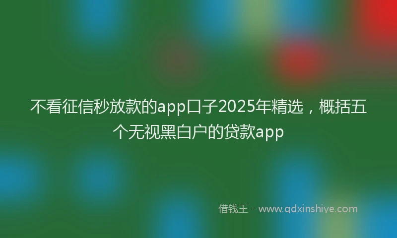 不看征信秒放款的app口子2025年精选,概括五个无视黑白户的贷款app