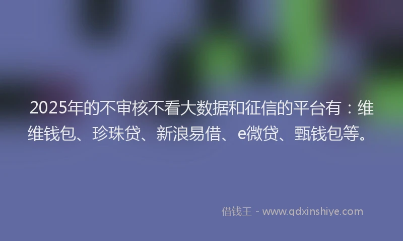 2025年的不审核不看大数据和征信的平台有：维维钱包、珍珠贷、新浪易借、e微贷、甄钱包等。