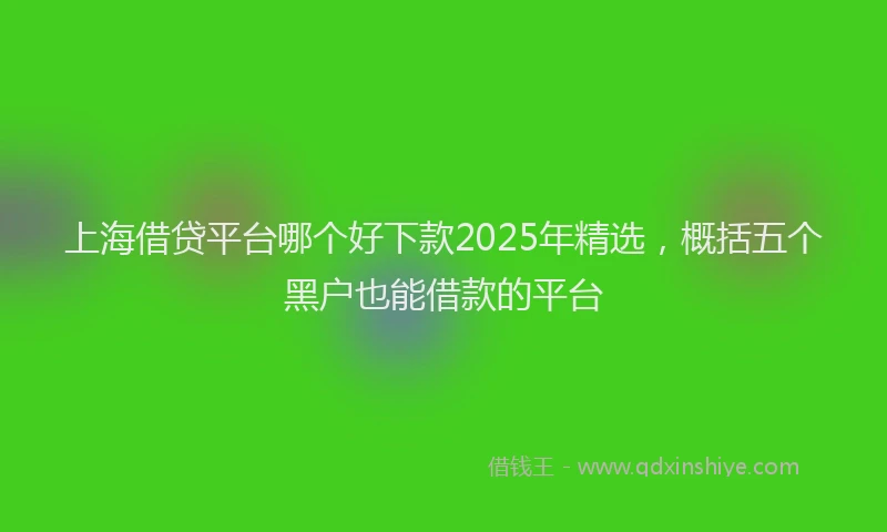 上海借贷平台哪个好下款2025年精选，概括五个黑户也能借款的平台