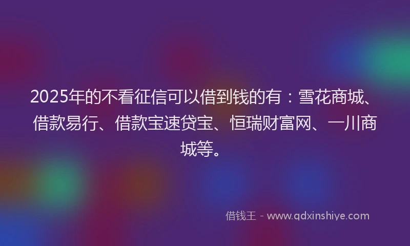 2025年的不看征信可以借到钱的有：雪花商城、借款易行、借款宝速贷宝、恒瑞财富网、一川商城等。