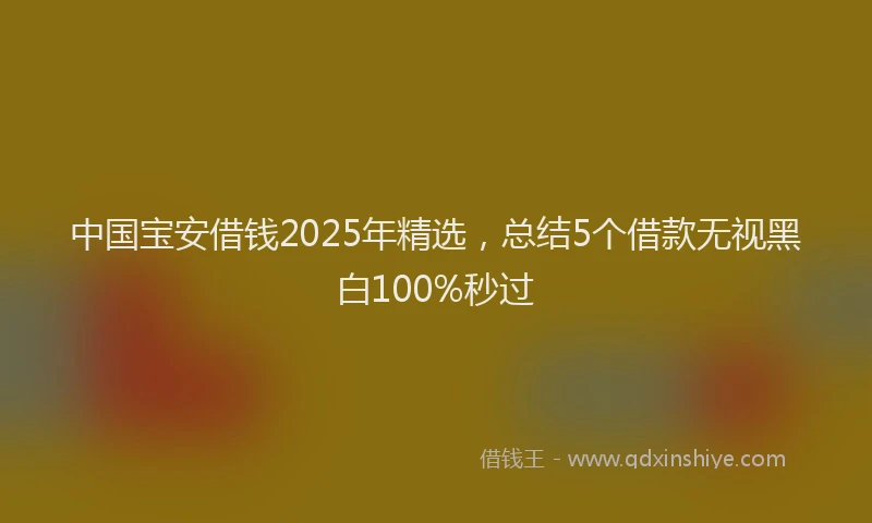 中国宝安借钱2025年精选，总结5个借款无视黑白100%秒过