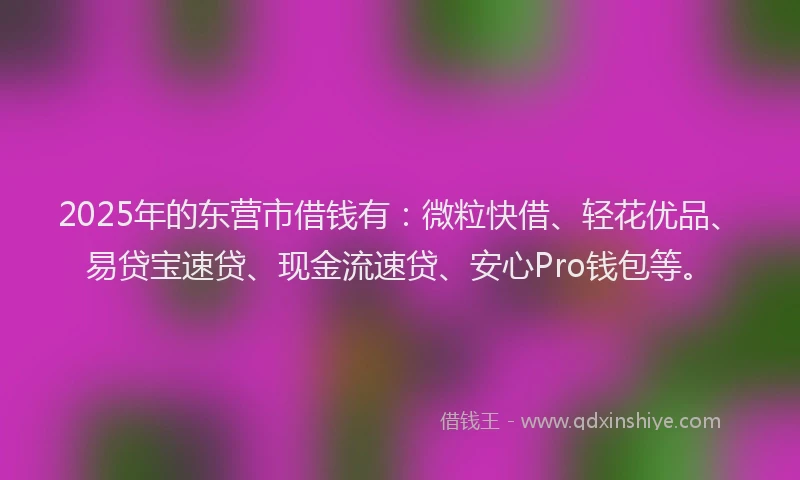 2025年的东营市借钱有:微粒快借、轻花优品、易贷宝速贷、现金流速贷、安心Pro钱包等。