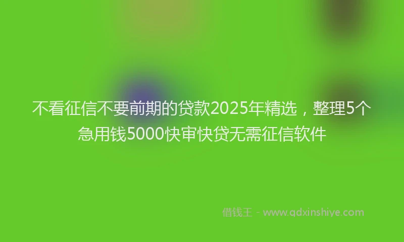 不看征信不要前期的贷款2025年精选，整理5个急用钱5000快审快贷无需征信软件