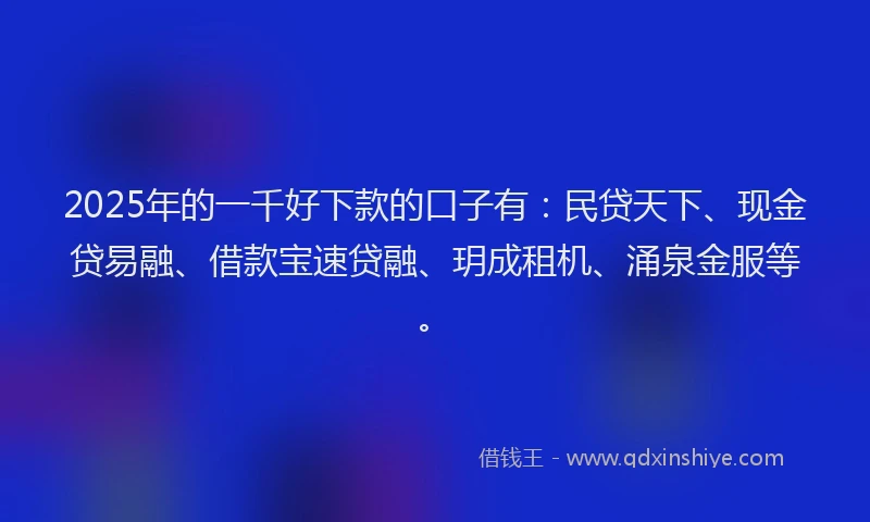 2025年的一千好下款的口子有：民贷天下、现金贷易融、借款宝速贷融、玥成租机、涌泉金服等。