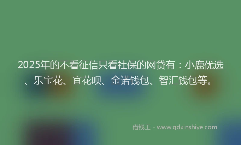 2025年的不看征信只看社保的网贷有：小鹿优选、乐宝花、宜花呗、金诺钱包、智汇钱包等。