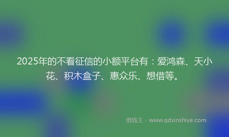 2025年的不看征信的小额平台有:爱鸿森、天小花、积木盒子、惠众乐、想借等。