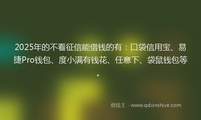 2025年的不看征信能借钱的有：口袋信用宝、易捷Pro钱包、度小满有钱花、任意下、袋鼠钱包等。