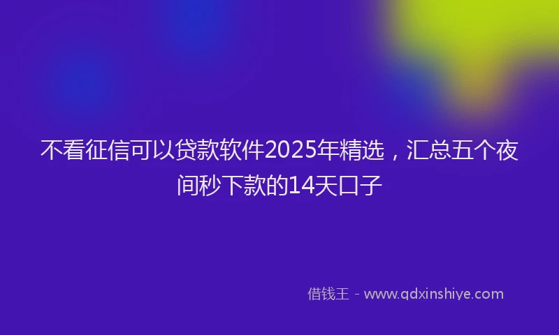 不看征信可以贷款软件2025年精选，汇总五个夜间秒下款的14天口子